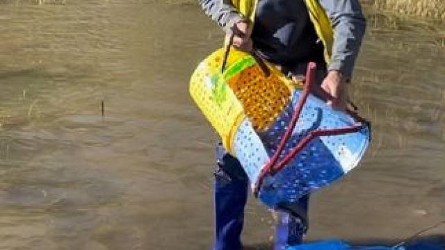 #户外捕鱼 #好多鱼