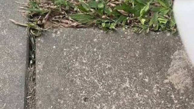 瓷砖强力清洁剂，解决反碱，发黑，发黄，铁锈等问题，厕所清洁的好帮手！