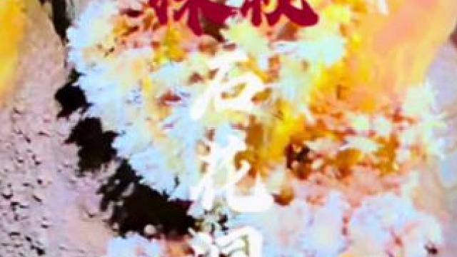 探秘石花洞 石头开花你见过吗？#神秘探险#洞穴探险#马帮主