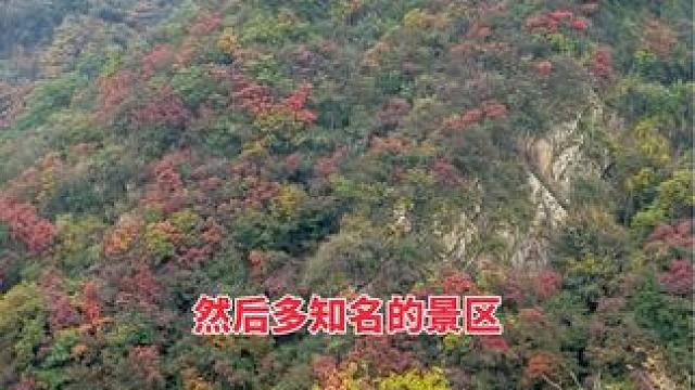 嵩顶草甸 #河南刚哥#治愈系风景 #随拍