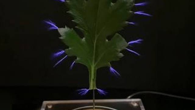 实用的水电工小技巧 #实用小技巧 #水电工 #电工接线 #电工知识 #管道连接