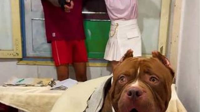 ToRung搞笑 肌肉哥你真的不如….
#搞笑 #看一遍笑一遍 #解压 #哈哈哈娱乐一下