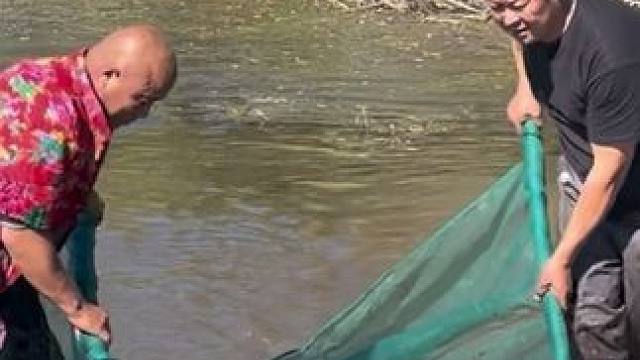 #户外捕鱼 #好多鱼