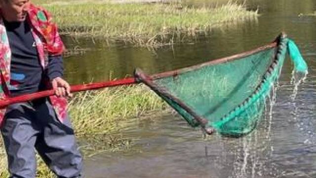 #户外捕鱼 #好大一条鱼