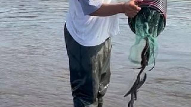 #户外捕鱼 #好多鱼