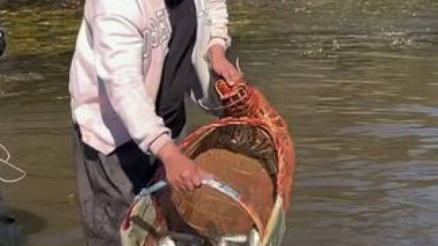 #户外捕鱼 #好多鱼