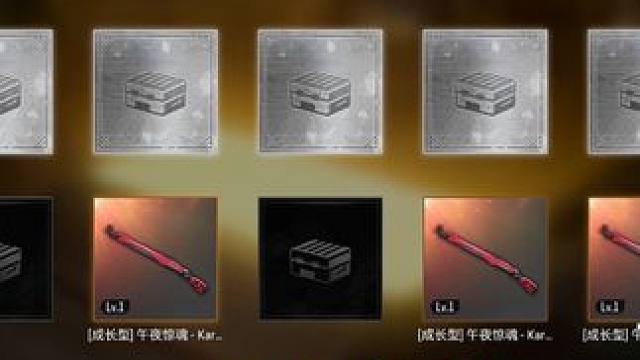 晒出你的前十连 我感觉我在做梦！你呢？晒出你的最佳！#2024鸡斯卡星火计划 #pubg #绝地求生