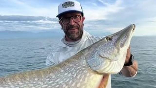 收获一条大狗鱼 #国外视频分享 #好大一条鱼 #钓鱼的乐趣只有钓鱼人