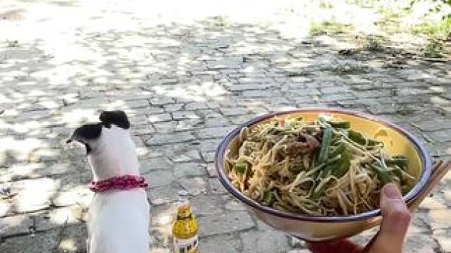 说住换个碗
熊我不吃喂狗 咋你了呀#田间地头 #乡愁记忆 #农村生活