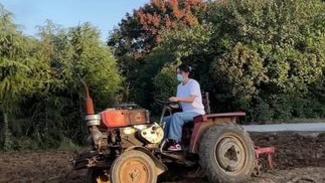 熊我 咋不挂八档咋了又#田间地头  #回村后的我 #农村生活