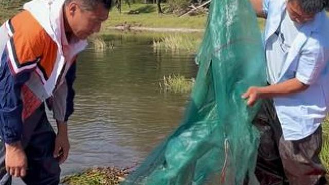 #户外捕鱼 #好多鱼