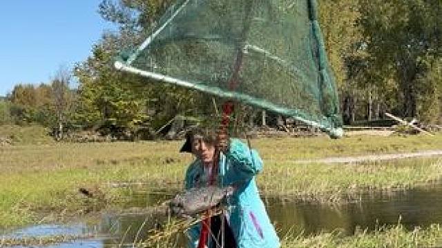 #户外捕鱼 #好大一条鱼