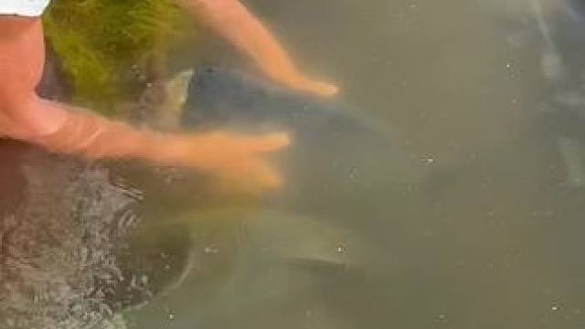 #钓鱼的乐趣只有钓鱼人懂