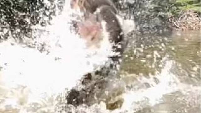 #这鱼哪个钓友看了不羡慕 #秋天正是钓鱼好时节