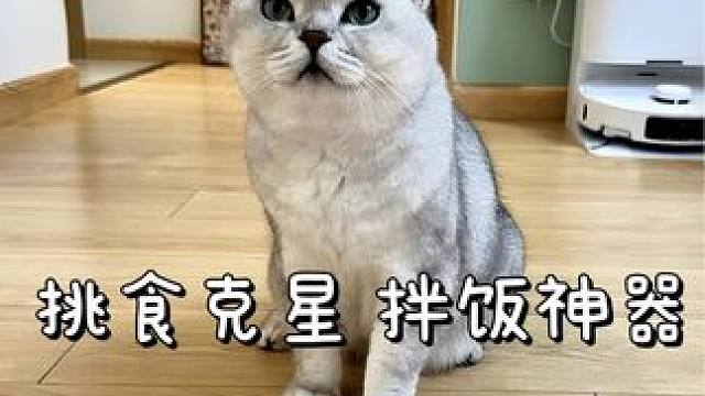 谁能拒绝傻憨憨的小猫咪呢！！！ #萌宠 #猫咪零食