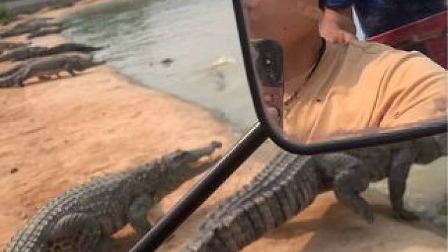 家人们好久不见，谁懂啊几天不见池，一进来必有收获#危险动作请勿模仿