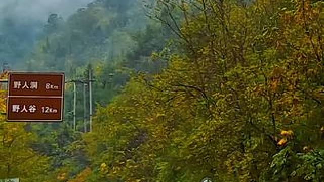 国道209（苏北线）湖北十堰市房县段沿途景色 #最美的风景在路上 #旅行推荐官 #神农架