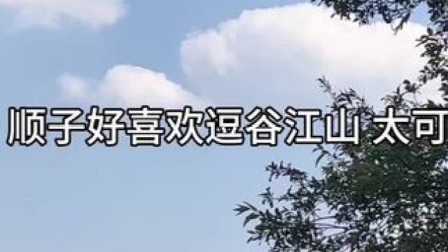 我陪你吧~ #广播剧 #谷江山 #cv顺子