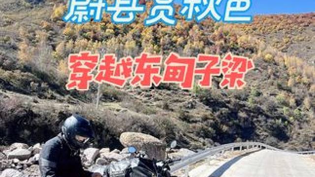 摩旅露营赏秋色穿越东甸子梁#摩旅 #露营 #骑行vlog #骑行旅行风景