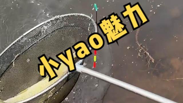 河沟里的草鱼，要用这种窝料打窝，轻松上草鱼 河沟里的草鱼，要用这种窝料打窝，轻松上草鱼#钓鱼的乐趣只