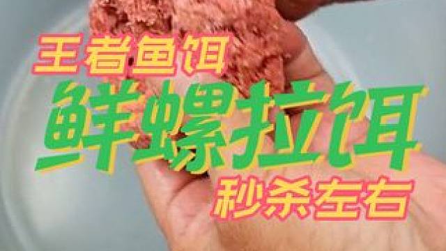 鲜螺拉饵，自己做的才是王者，干翻你左右的钓友 #鱼饵制作 #饵料 #秘制饵料 #鱼饵 #钓鱼饵料