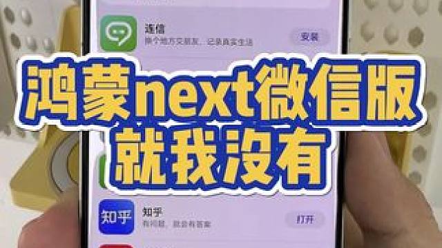 就我一个没有鸿蒙next微信升级名额吗？ #华为 #华为手机 #鸿蒙next #鸿蒙os #微信