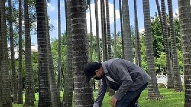 小树林试试这样拍#手机摄影 #拍摄技巧 #小树林 #一镜到底 #治愈系风景