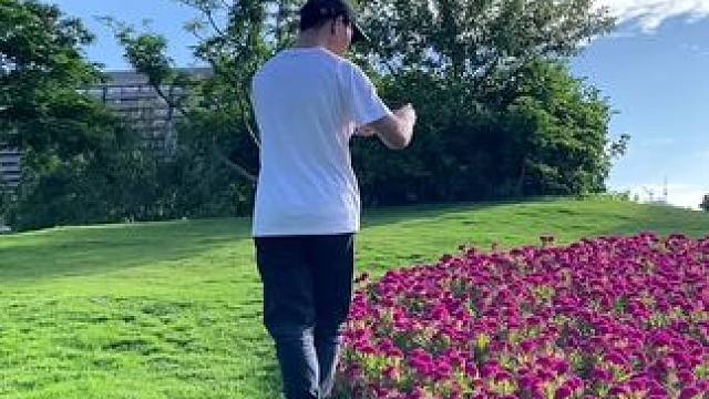 花花美景试试这样拍太美了#手机摄影 #拍摄技巧 #治愈系风景 #拍出电影感 #拍花技巧