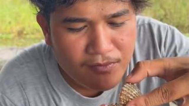 东南亚地包天来了 #我的乡村生活 #东南亚地包天 #东南亚美食