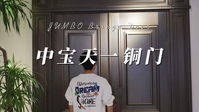居然还有风格如此独特的铜门，太惊艳了#中宝天一铜门 #上海 #别墅门 #系统门