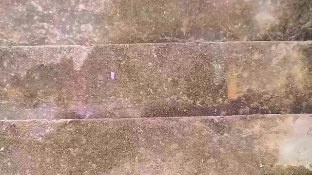 楼梯滚瓶子爆破解压时刻