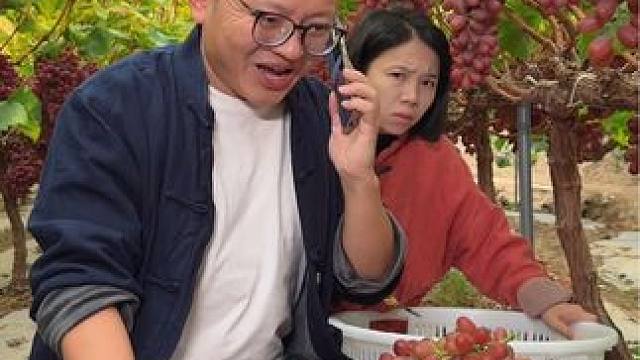 只要思想不滑坡，办法总比困难多 #川哥川嫂 #葡萄熟了