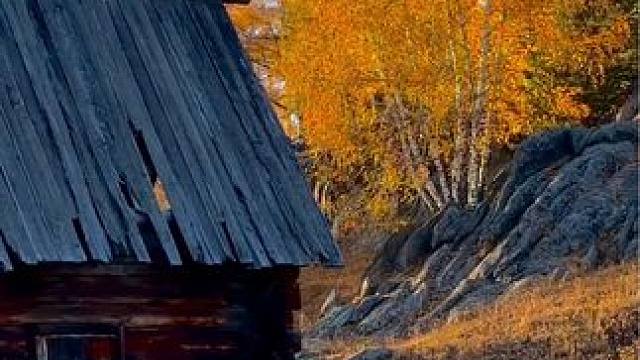 雪已来，而我仍迷失在禾木的金秋里。#旅行推荐官 #我的阿勒泰 #禾木村
