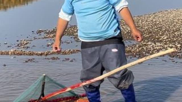 #户外捕鱼 #好多鱼