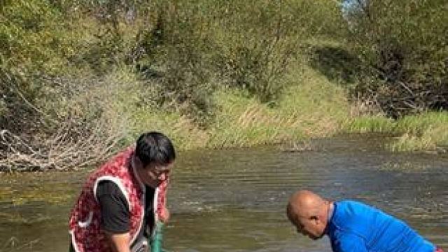 #户外捕鱼 #好多鱼