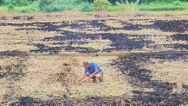 咱不问专家，就问问大家，这地里的秸秆到底可不可以烧？#记录农村生活 #大实话 #老百姓关心的话题 #