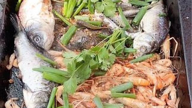 退休生活可不是单纯的活着，是有质量的生活！#美食 #农村美食 #人间烟火