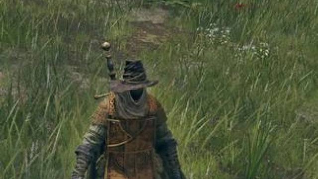 惊！这个主播的人物捏得也太好看了叭～#steam游戏 #艾尔登法环 #这操作都看傻了