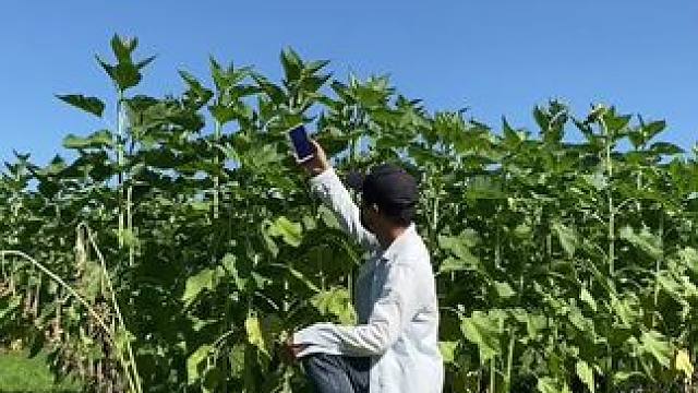 我发布了一个新视频，快来围观吧！