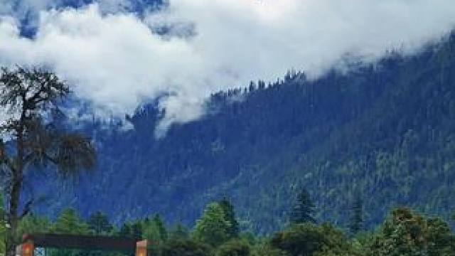 #分享在旅途发现的惊喜 #治愈系风景 #感受大自然的气息和美景 #一场大雪美如画 #旅行推荐官