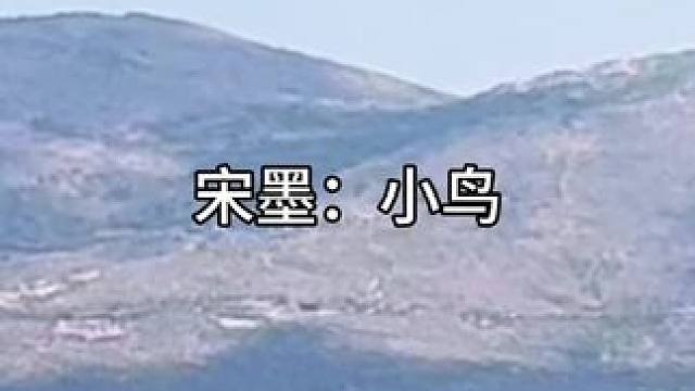 宝宝好可爱ʅ(｡Ő౪Ő｡)ʃ #广播剧 #钱文青 #张福正 #陈伤广播剧