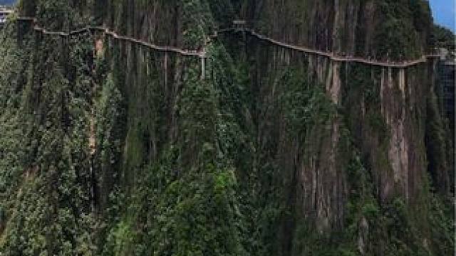 这里不是华山，也不是黄山，这里是湖南的大美莽山！#一座不用爬的山 #莽山五指峰景区 #航拍莽山