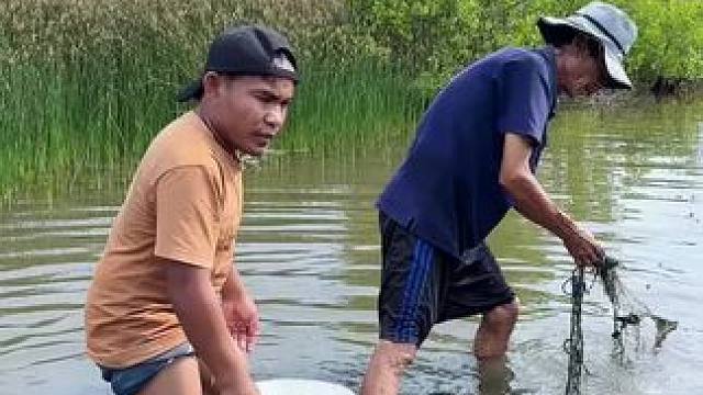 矮子抓鱼 #我的乡村生活 #东南亚八面佛 #农村生活 #户外捕鱼 #泰国美食