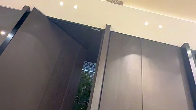 南京顶级展厅高定入户门。