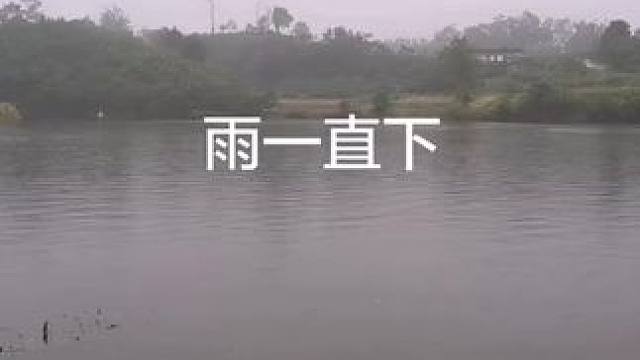 #钓鱼人就是这么疯狂 #钓鱼的乐趣只有钓鱼人懂 #钓鱼人