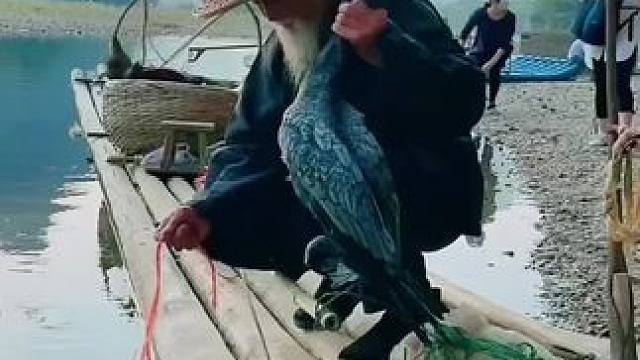 #山青水秀好风光游山逛水看风景 #漓江渔翁 #游山玩水释放心情