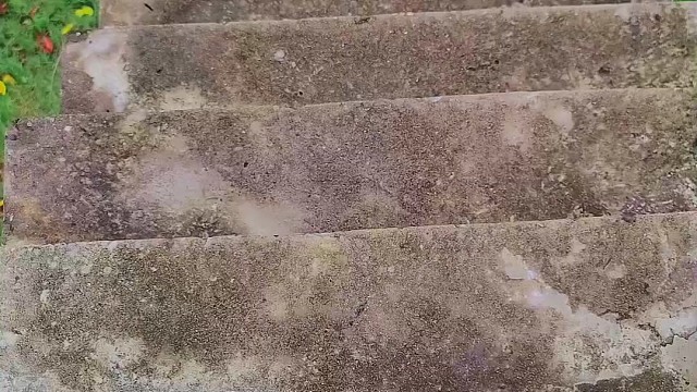 楼梯滚瓶子爆破解压时刻