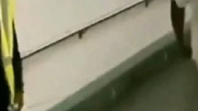 自由的气息#看一遍笑一遍 #搞笑 #抽象