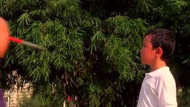 ﻿下载《西瓜视频》，免费观看精彩后续......下载《西瓜视频》，免费观看精彩后续......下载《