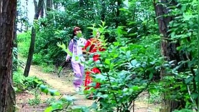 下载《西瓜视频》，免费观看精彩后续......下载《西瓜视频》，免费观看精彩后续......下载《